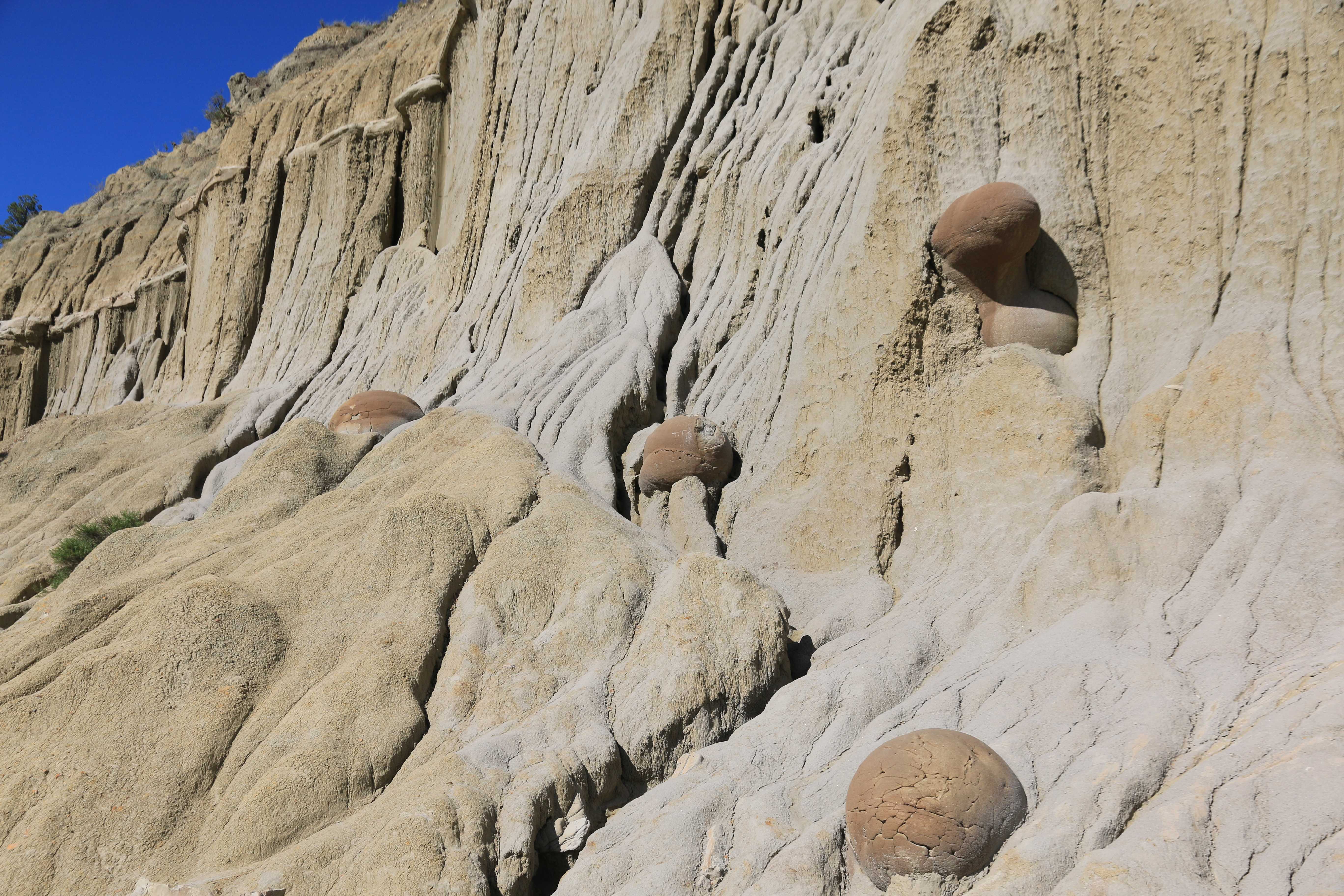 Theodore Roosevelt NP